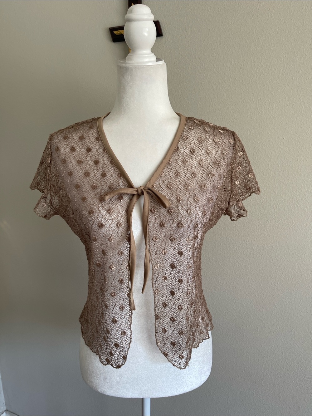 Spirit Brown Sheer Lace Tie-Front Top